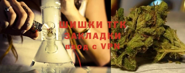 дмт Костерёво