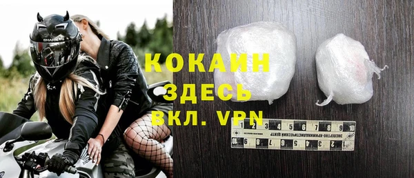 дмт Костерёво