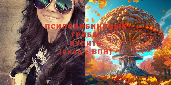 дмт Костерёво