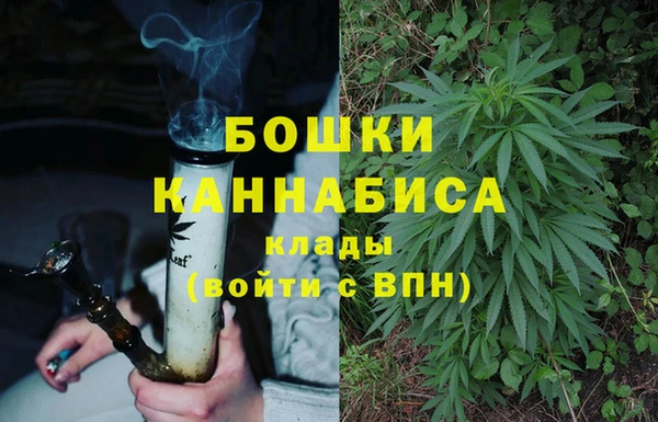 альфа пвп Коряжма