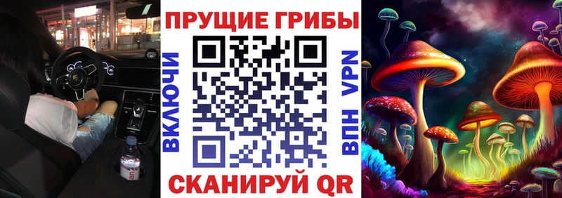 Галлюциногенные грибы мухоморы  Купить закладки  Кулебаки 